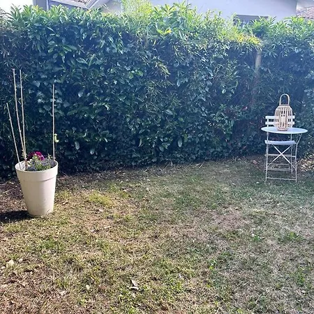 Le Petit Coin De Joe Detente Proche Centre Bassin Apartment Le Teich